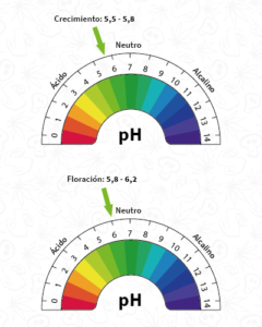 Rangos de pH ideales en hidroponía.