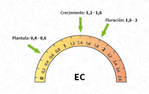 Rangos de pH ideales en hidroponía.