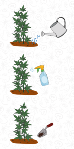 Comparativa de métodos de fertilización