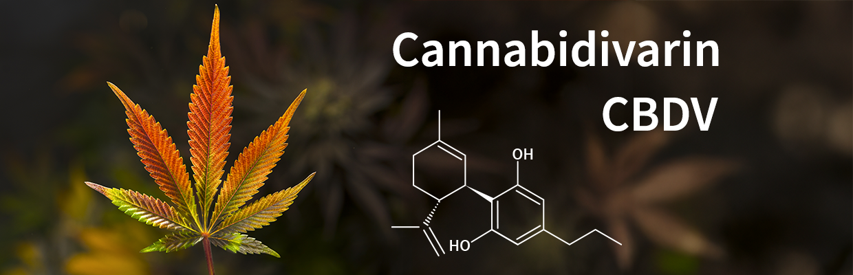 Cannabidivarin CBDV