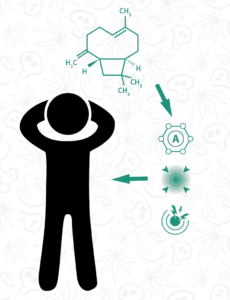 Propiedades terapéuticas