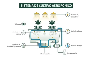 Esquema del sistema aeropónico