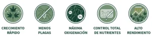 Ventajas de la aeroponía