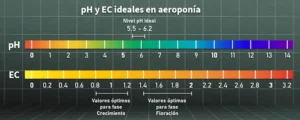 pH y EC ideales en aeroponía