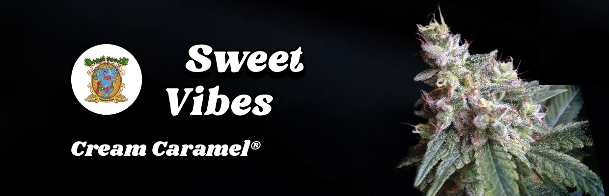 Cream Caramel®