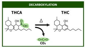 ¿Qué es la descarboxilación de la marihuana?