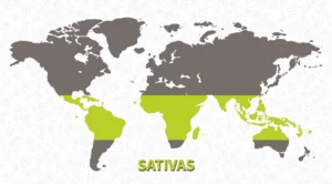 Mapa de orígenes sativa (zonas tropicales)