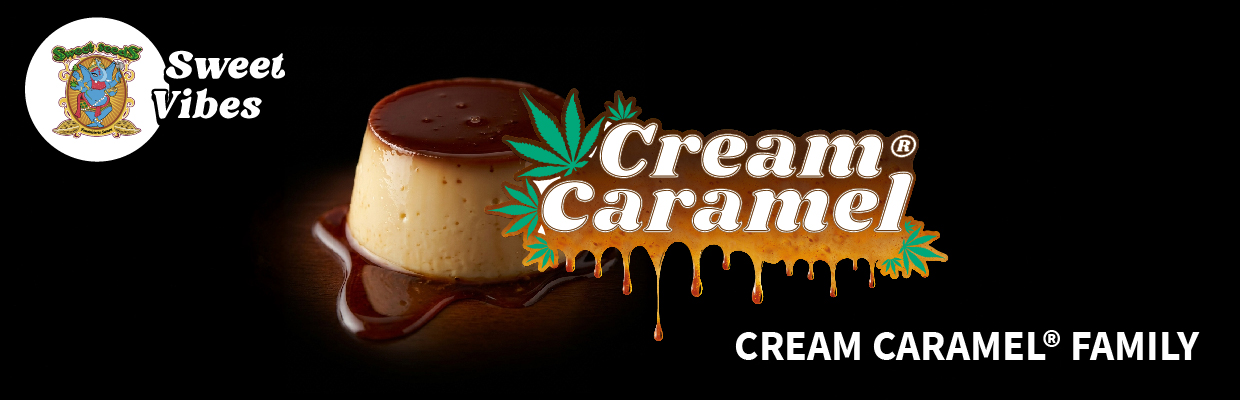 The Cream Caramel® Family