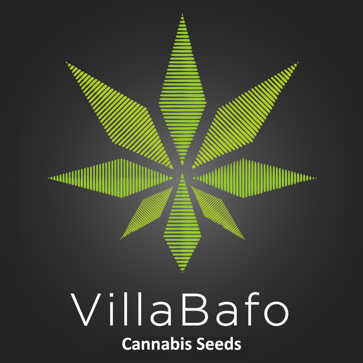 Villabafo Malta