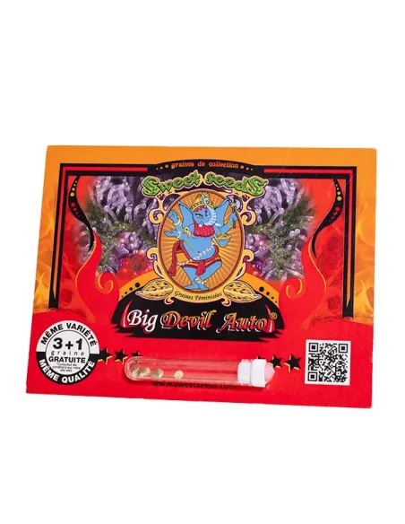 FR - Big Devil Auto® 3+1