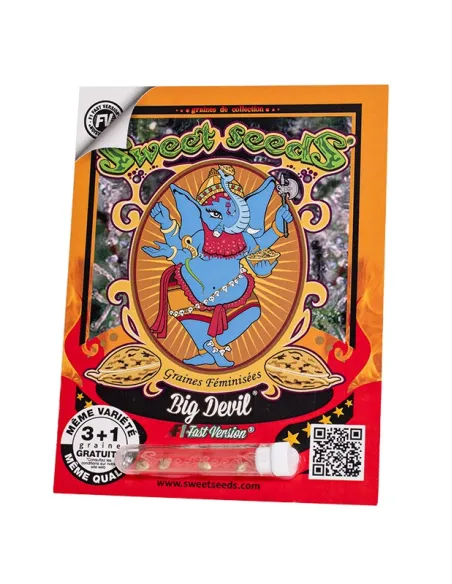 FR - Big Devil F1 Fast Version® 3+1