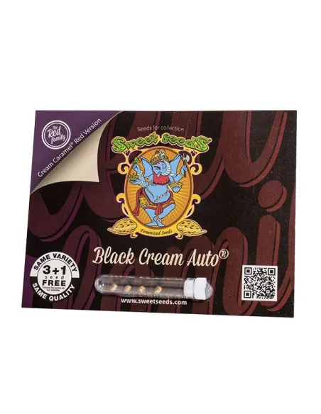 EN - Black Cream Auto® 3+1