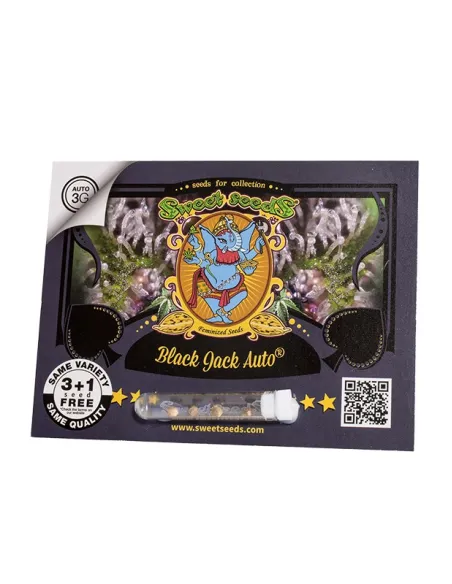 EN - Black Jack Auto® 3+1