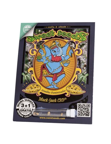 ES - Black Jack CBD® 3+1