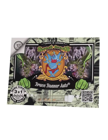 FR- Bruce Banner Auto® 3+1