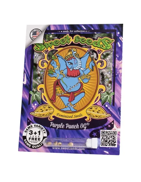 EN - Purple Punch OG® 3+1