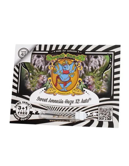EN - Sweet Amnesia Haze XL Auto® 3+1