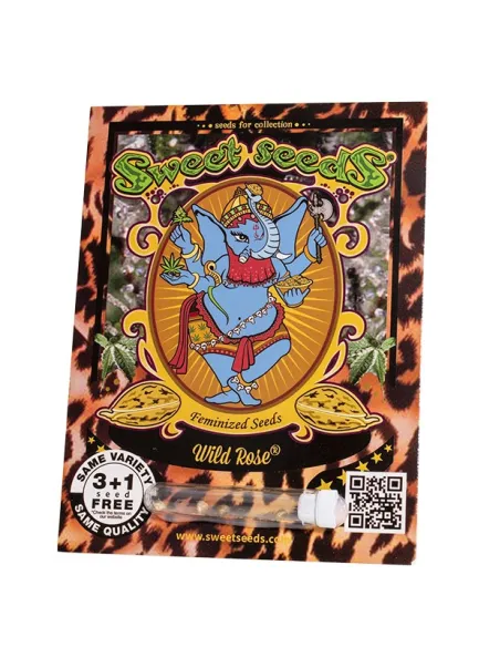 EN - Wild Rose® 3+1