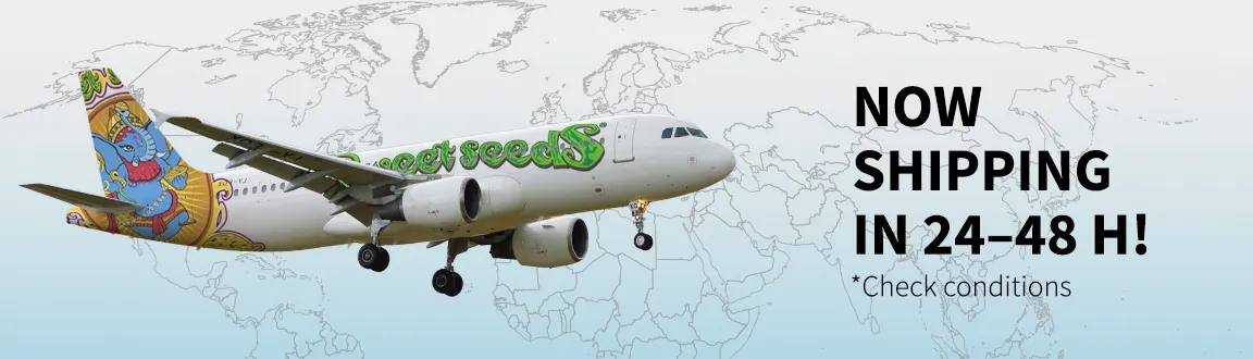 Fix enviogratis2448h