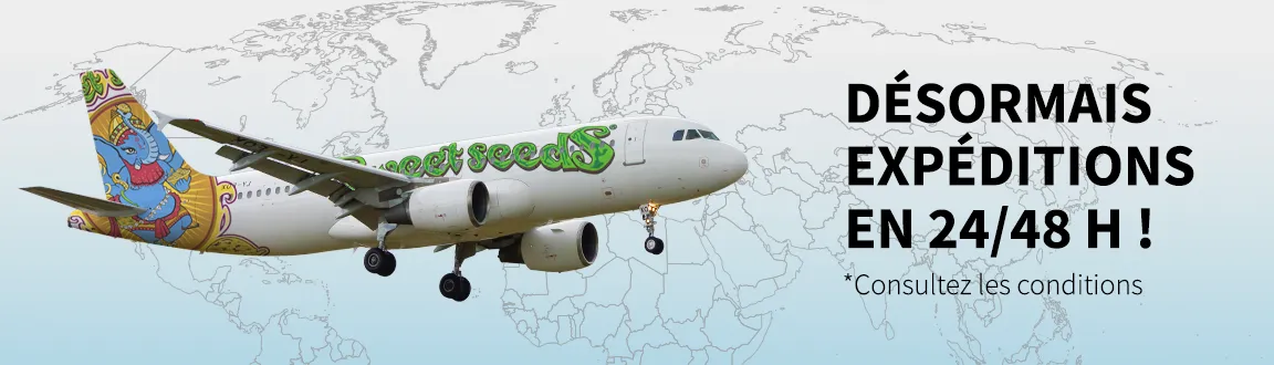 Fix enviogratis2448h