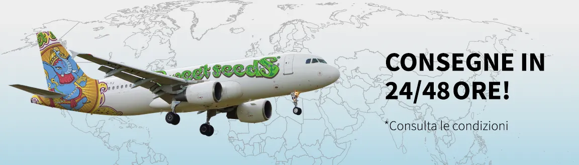 Fix enviogratis2448h