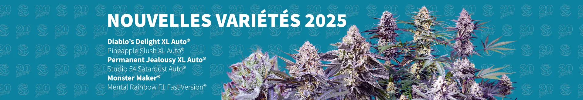 Nouveautés 2025