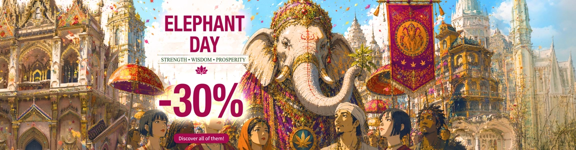 DIAELEFANTE