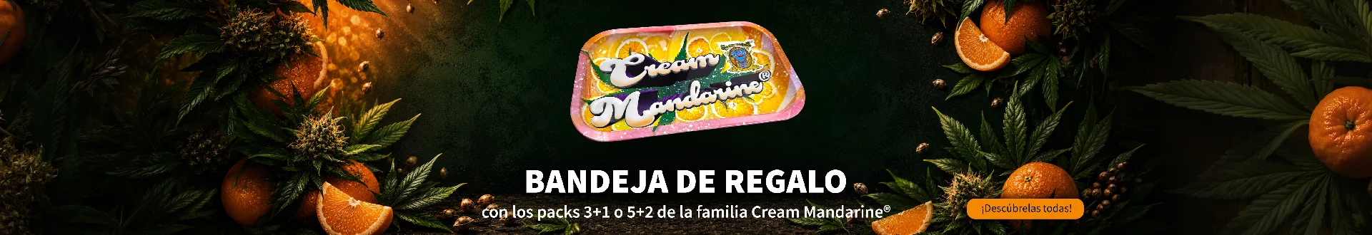 FAMILIACREAMMANDARINE