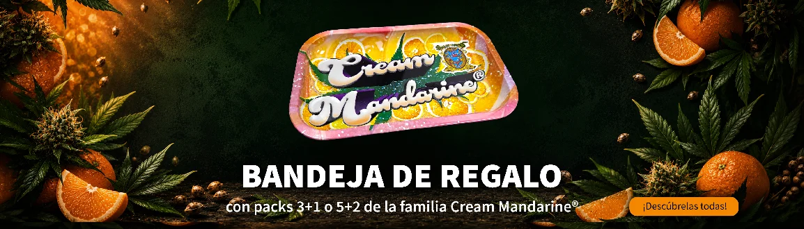 FAMILIACREAMMANDARINE