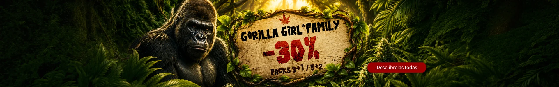 FAMILIAGORILLAGIRL