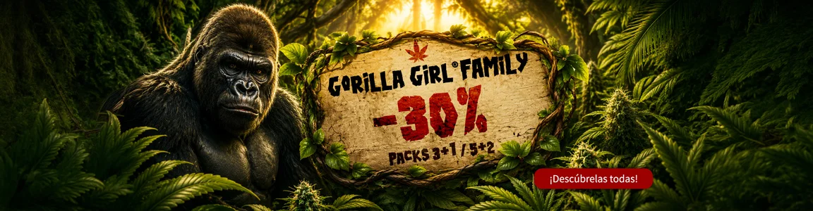 FAMILIAGORILLAGIRL