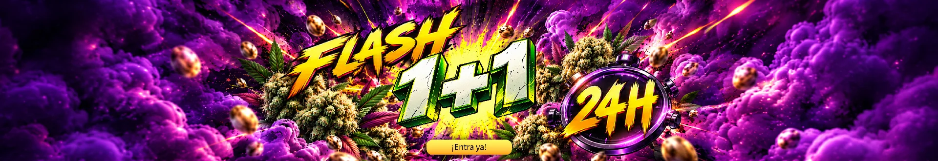 FLASH-2x1