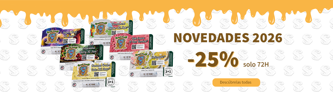 NOVEDADES25DTO