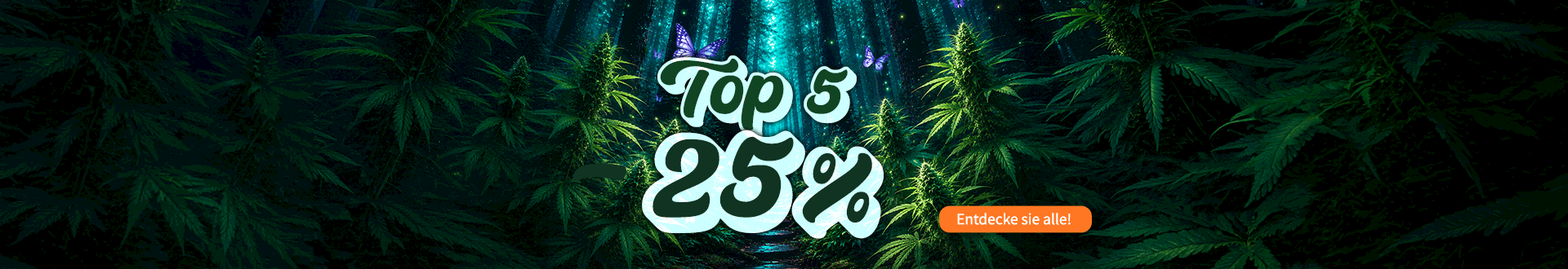 TOP5