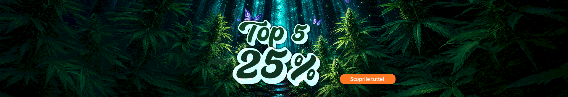 TOP5