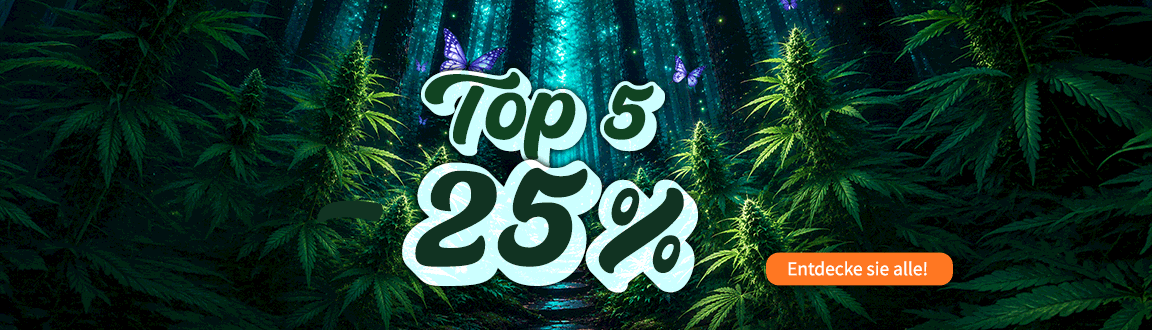 TOP5