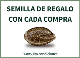 Semilla de regalo con cada compra