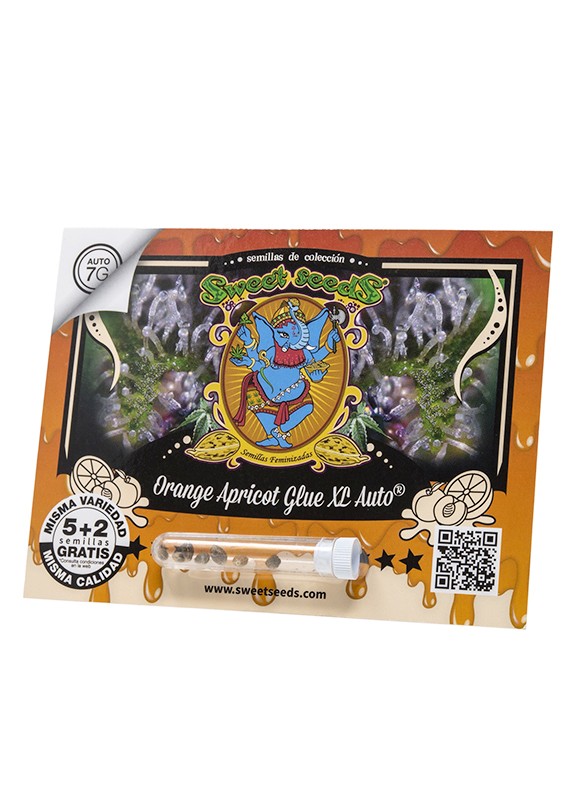 ES - Orange Apricot Glue XL Auto® 5+2