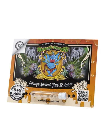 EN - Orange Apricot Glue XL Auto® 5+2
