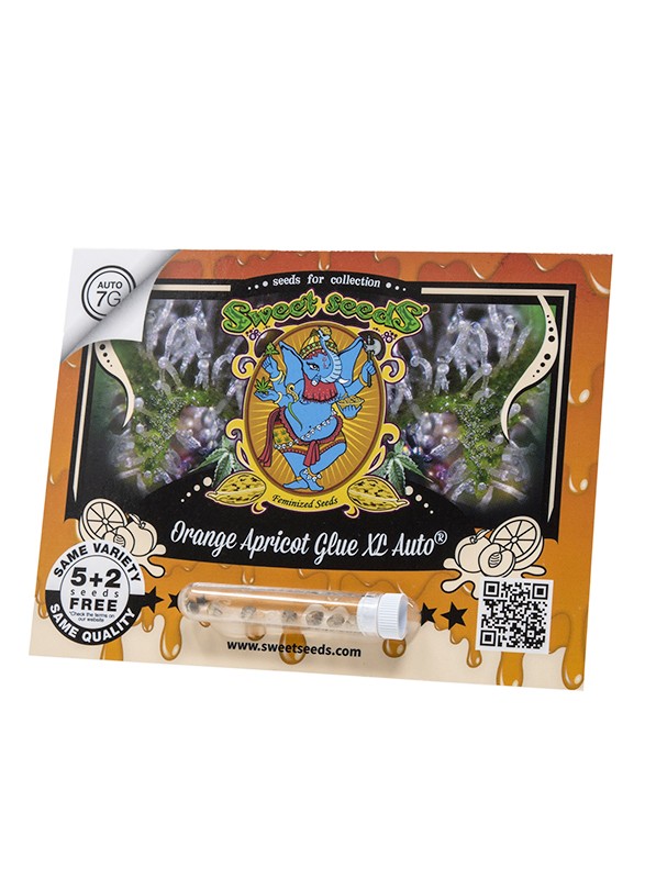 EN - Orange Apricot Glue XL Auto® 5+2