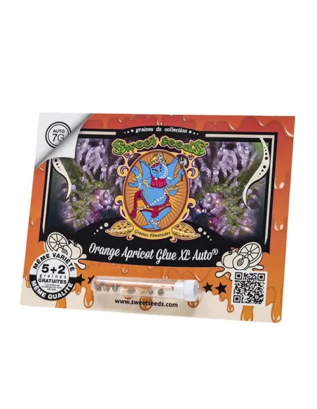 FR - Orange Apricot Glue XL Auto® 5+2
