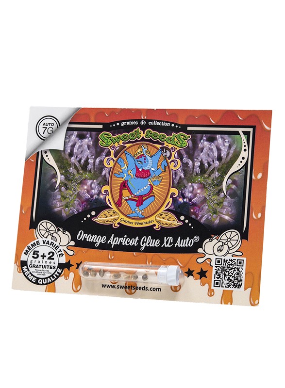 FR - Orange Apricot Glue XL Auto® 5+2