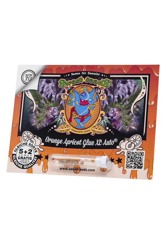 DE - Orange Apricot Glue XL Auto® 5+2