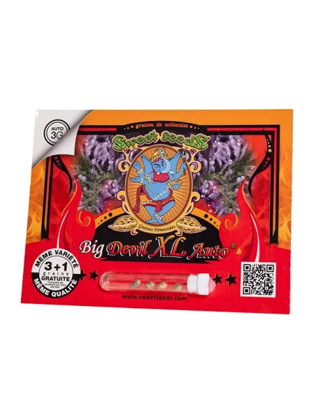 FR - Big Devil XL Auto® 3+1