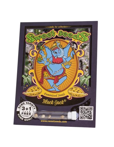 EN - Black Jack® 3+1