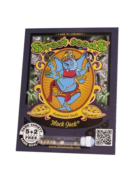 EN - Black Jack® 5+2