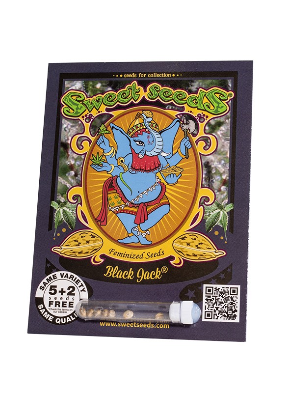EN - Black Jack® 5+2