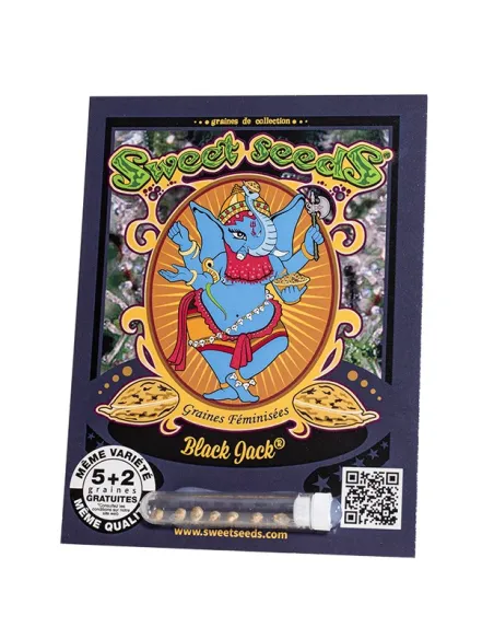 FR - Black Jack® 5+2