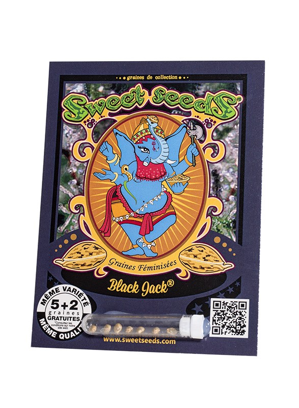 FR - Black Jack® 5+2