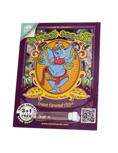 EN - Cream Caramel CBD® 3+1